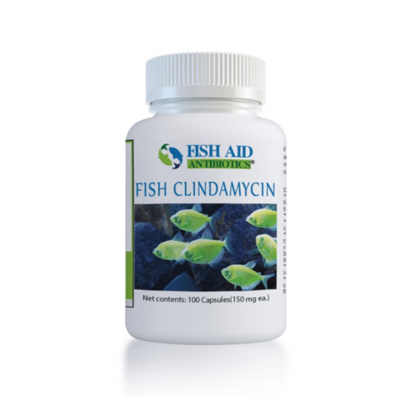 Fish Clindamycin - Fish Aid Antibiotics