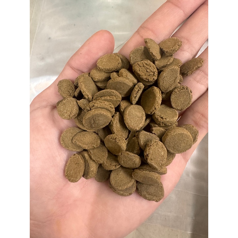 Algae Max - High Protein & Color Enhancement