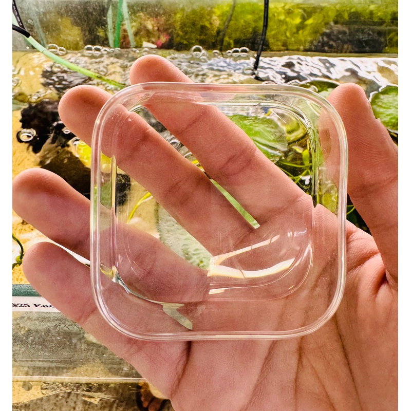 Glass Feeding Dish Square 6cm