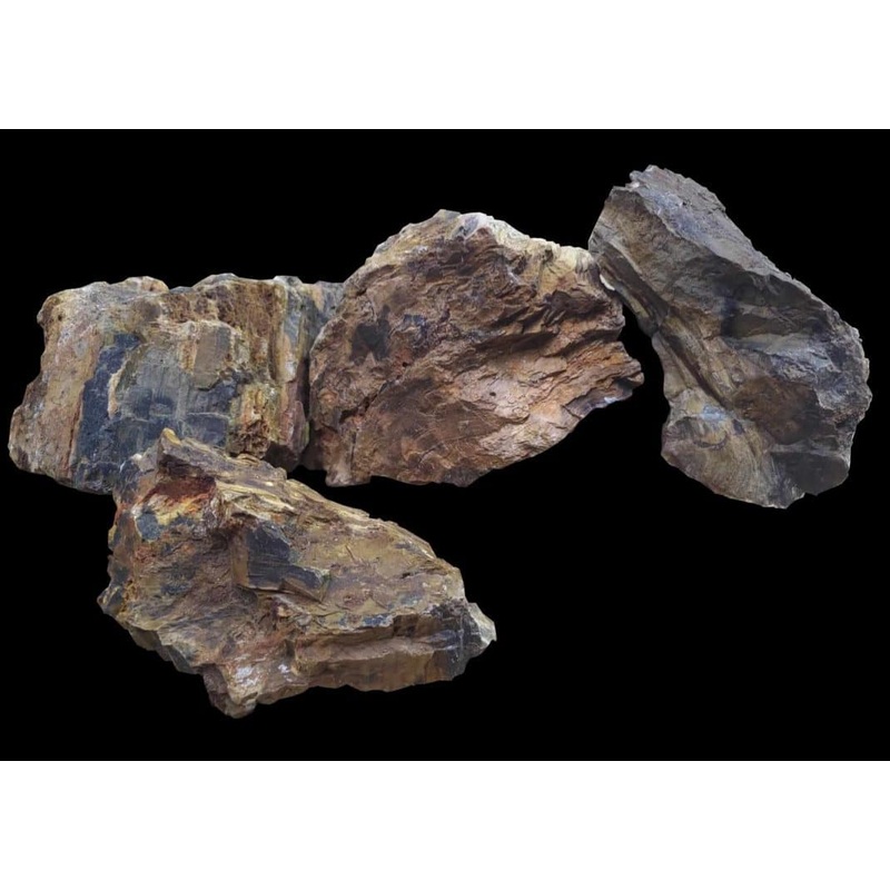 AP Naturals Petrified Wood 20kg