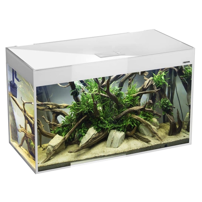 Aquael Glossy 100 White Aquarium