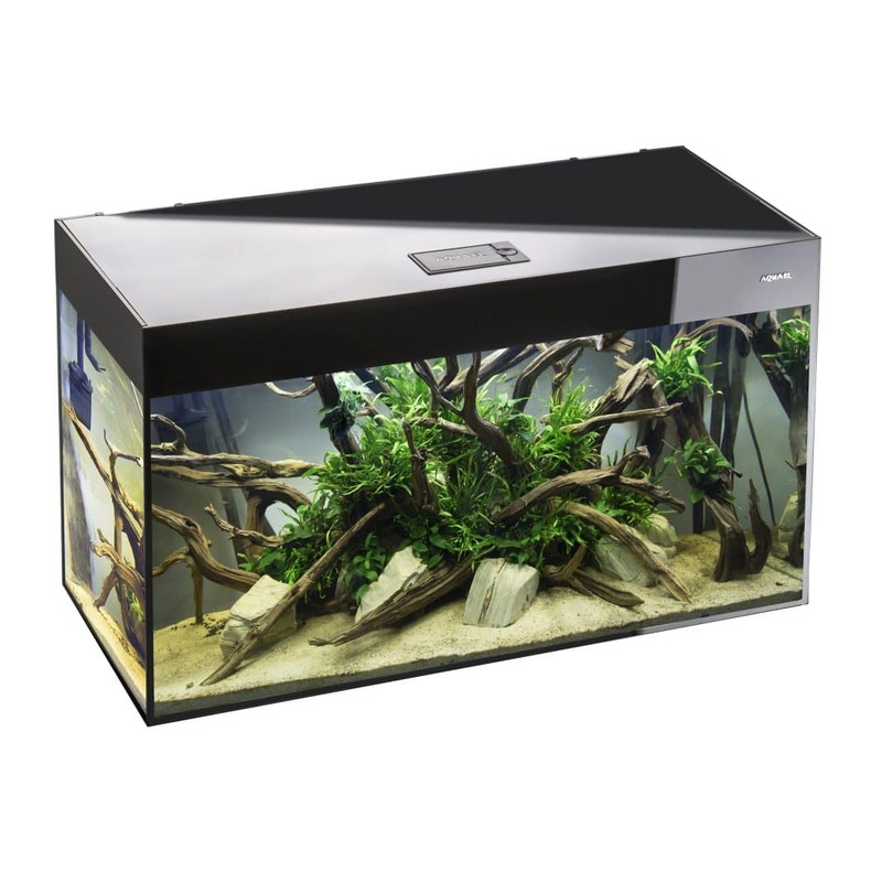 Aquael Glossy 80 Black Aquarium