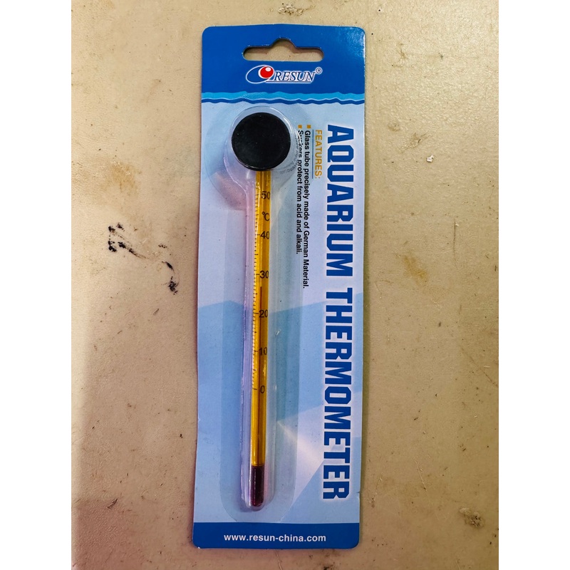 Glass Thermometer (15cm)