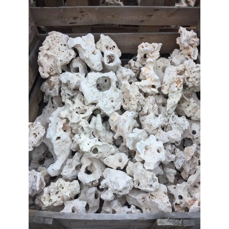 AP Naturals Texas Holey Rock