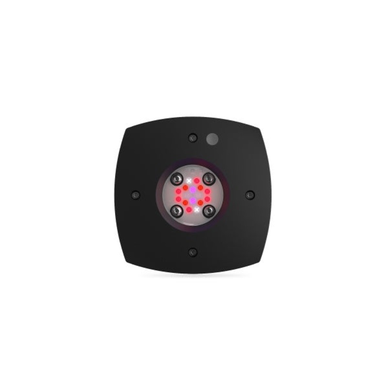 AI - Prime Fuge