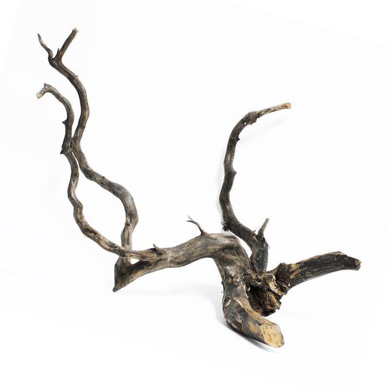 Forest Black Wood Branch Type