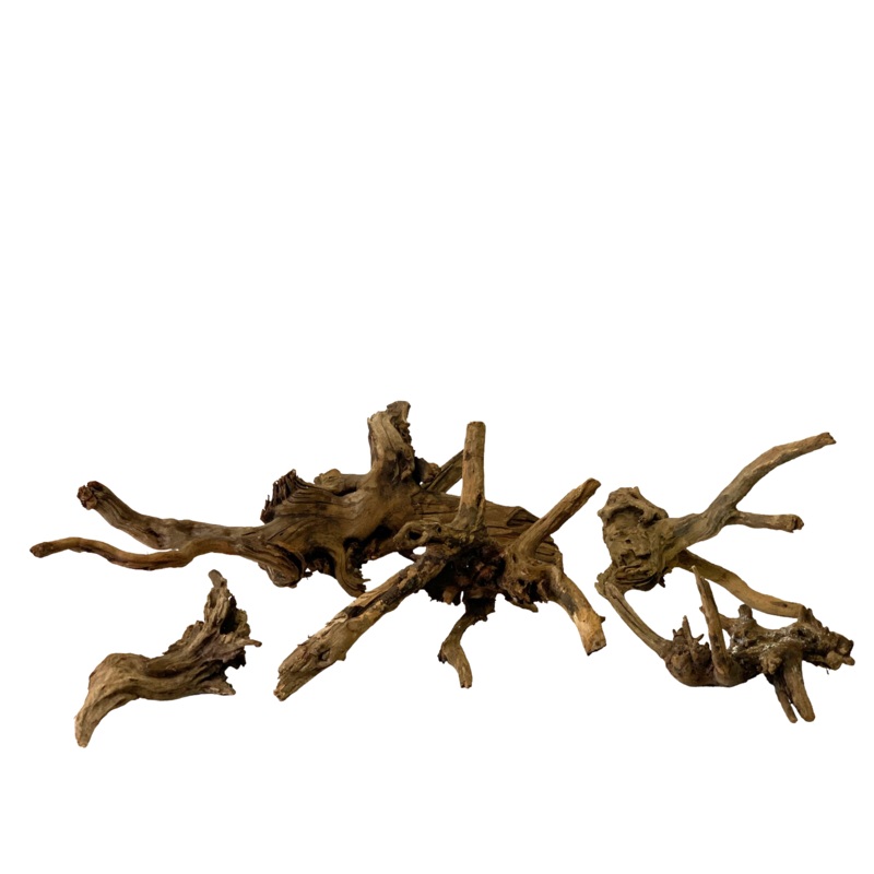 Ancient horn driftwood (Free shipping)