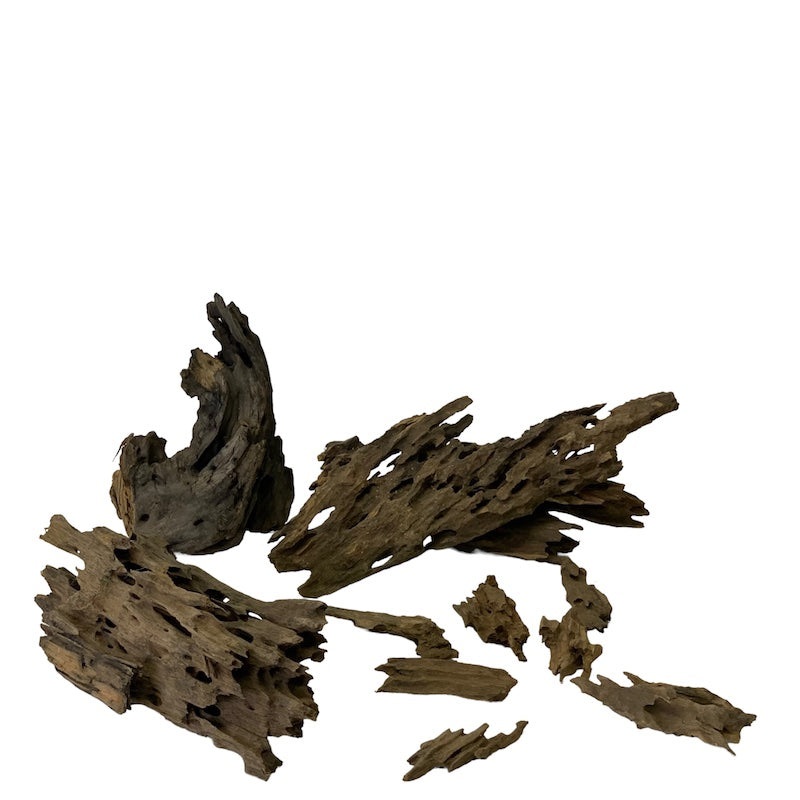 Dragon Wood (Free Shipping)