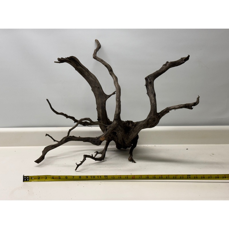 Forest Black Wood_001 (WYSIWYG) Free shipping!