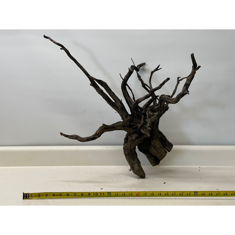 Forest Black Wood_003 (WYSIWYG) Free shipping!