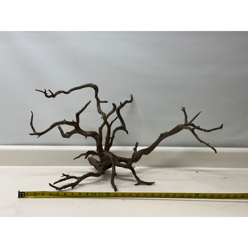 Forest Black Wood_004 (WYSIWYG) Free shipping!