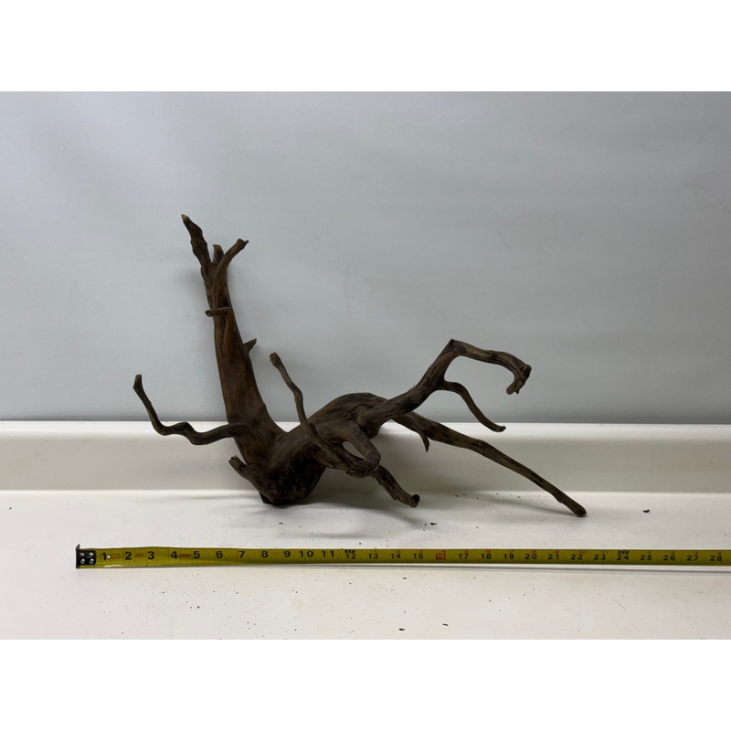 Forest Black Wood_005 (WYSIWYG) Free shipping!