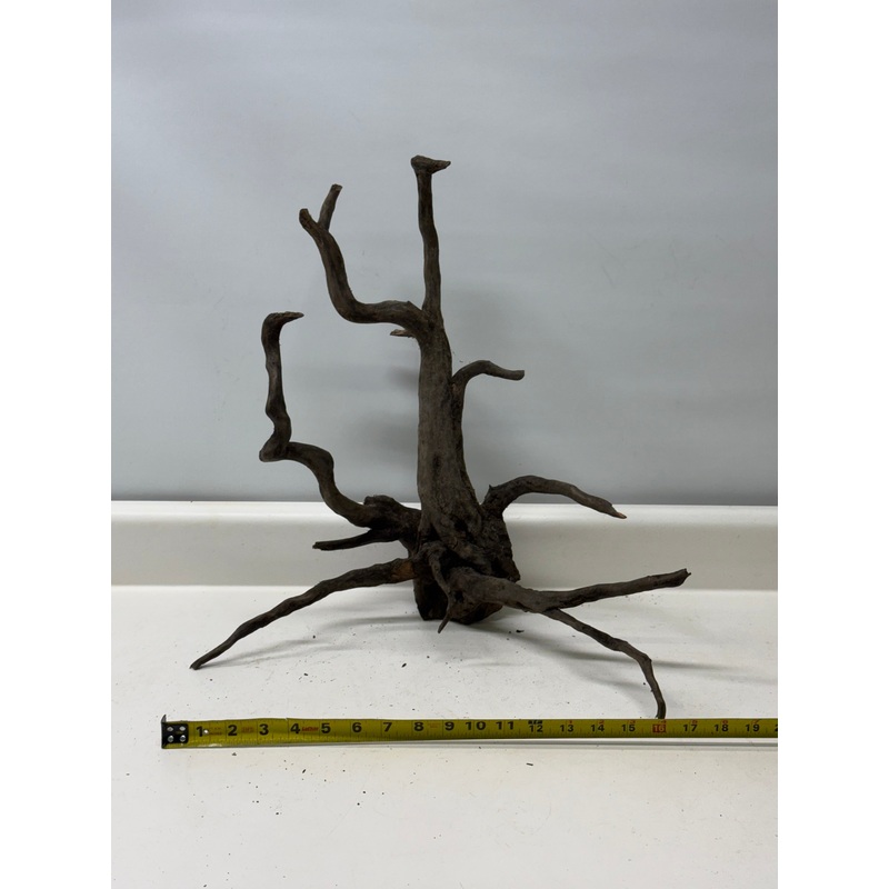 Forest Black Wood_006 (WYSIWYG) Free shipping!