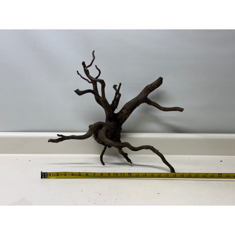 Forest Black Wood_007 (WYSIWYG) Free shipping!