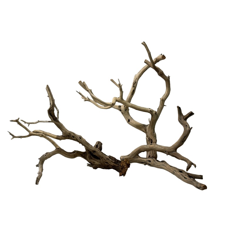 SIERRA WOOD