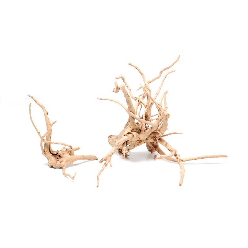Spider Wood