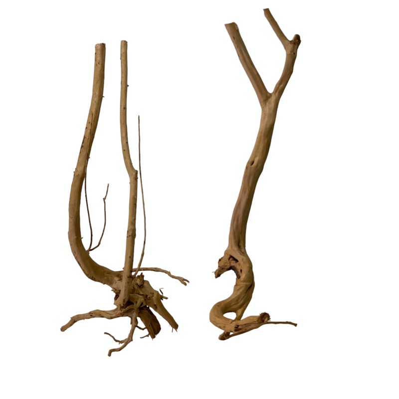 Straight branch/stump wood (Free Shipping)
