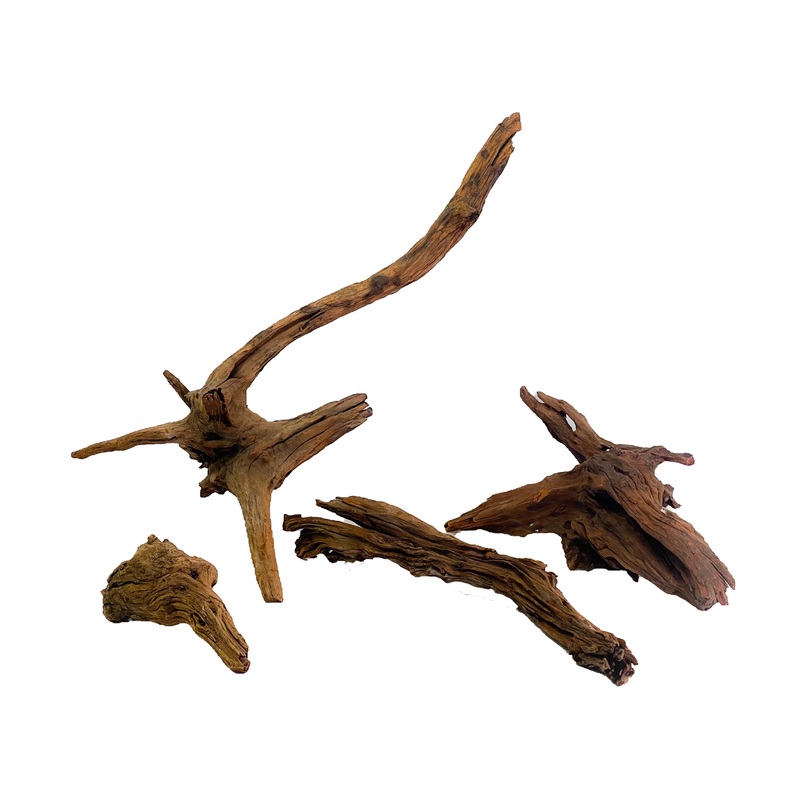 Thick Ancient Horn Wood (Free Shipping)