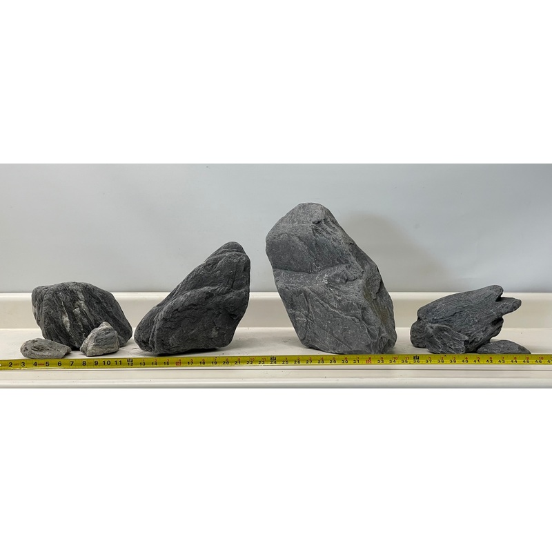 Wild Blue Rhino Stone 120P set_01 (WYSIWYG)