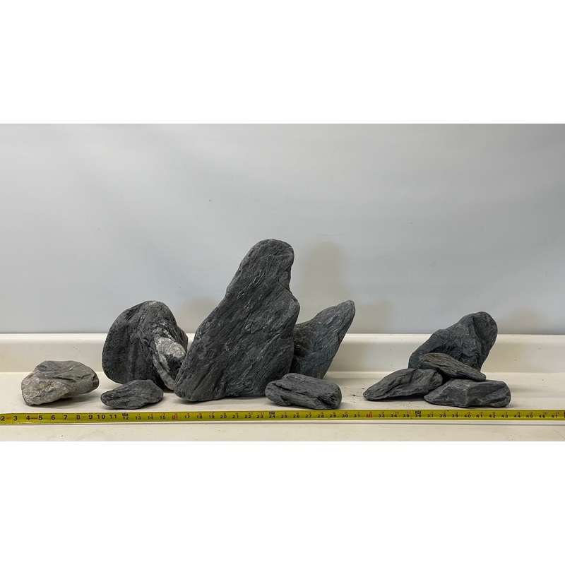 Wild Blue Rhino Stone 120P set_02(WYSIWYG)