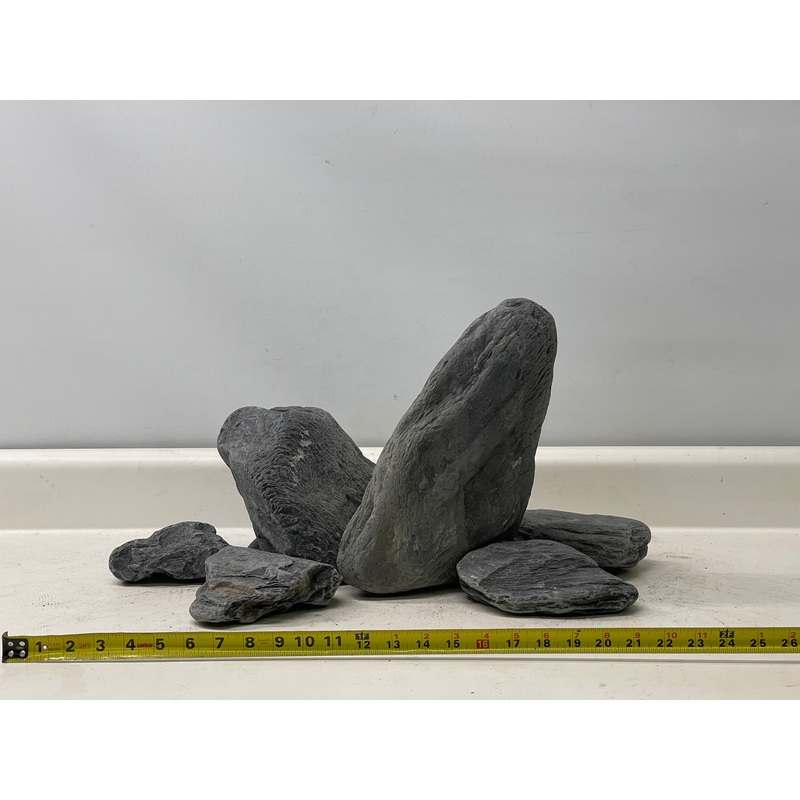 Wild Blue Rhino Stone 60P set_04(WYSIWYG)