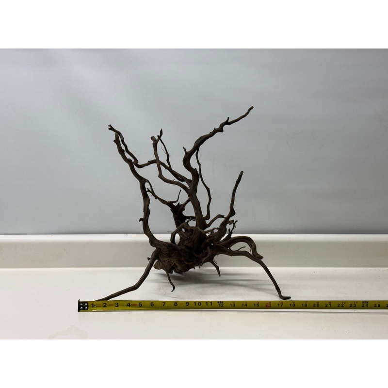 Forest Black Wood_008 (WYSIWYG) Free shipping!