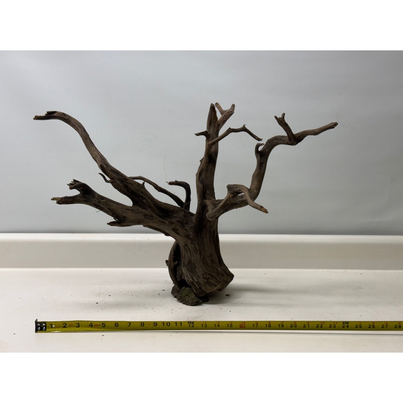 Forest Black Wood_010 (WYSIWYG) Free shipping!