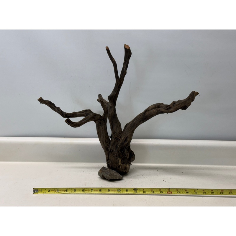 Forest Black Wood_012 (WYSIWYG) Free shipping!