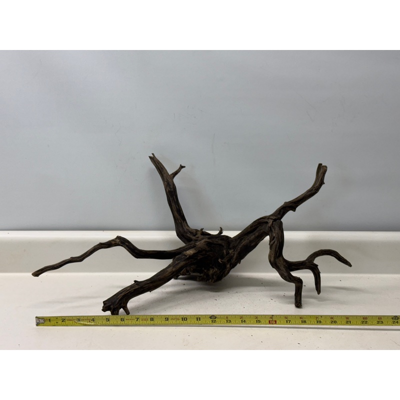 Forest Black Wood_013 (WYSIWYG) Free shipping!