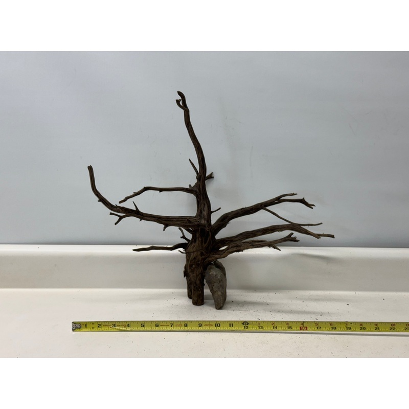 Forest Black Wood_015 (WYSIWYG) Free shipping!