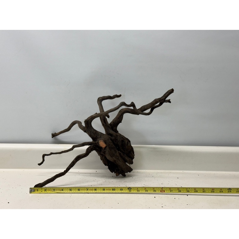 Forest Black Wood_017 (WYSIWYG) Free shipping!