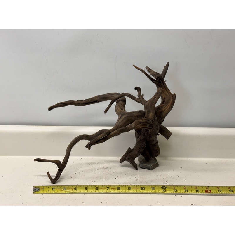 Forest Black Wood_018 (WYSIWYG) Free shipping!