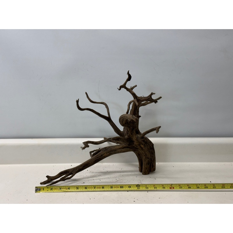 Forest Black Wood_019 (WYSIWYG) Free shipping!
