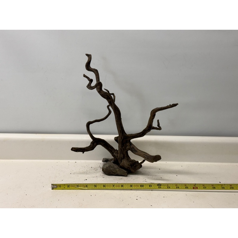 Forest Black Wood_020 (WYSIWYG) Free shipping!