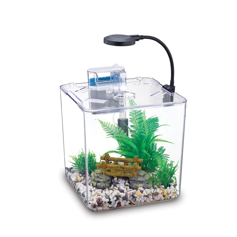 Nubios Desktop Betta Bowl-Square NB-132S