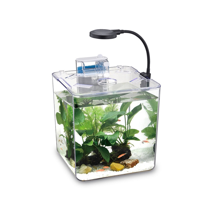 Nubios Desktop Betta Bowl-Square NB-395S