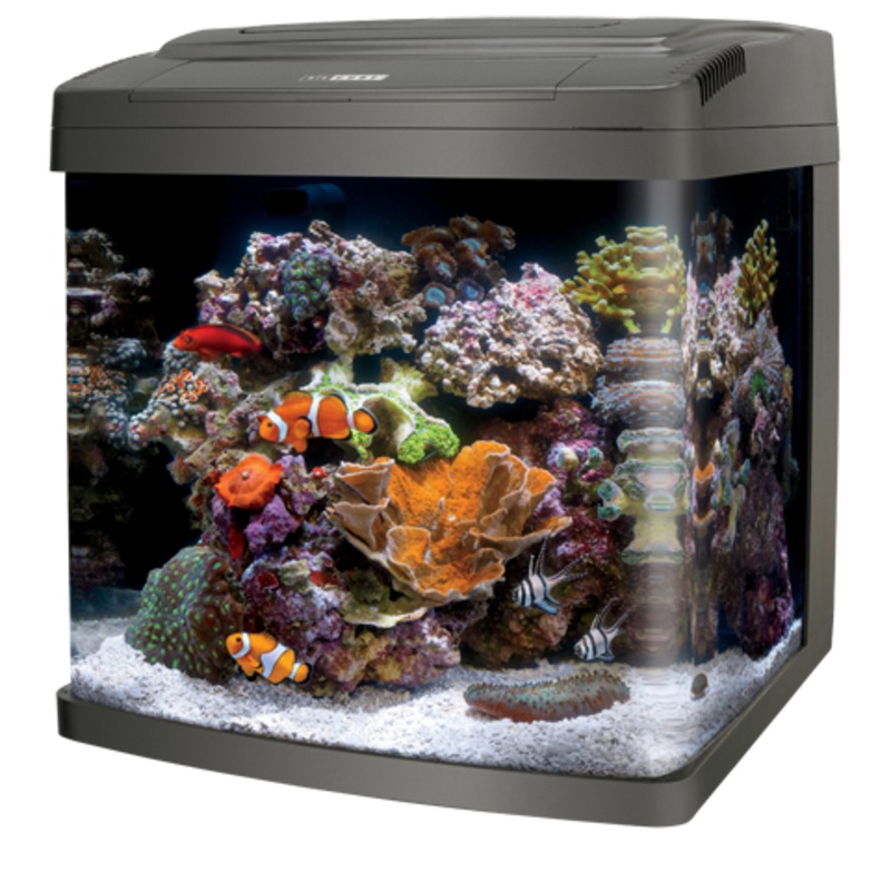 Coralife LED BioCube - 32 gal