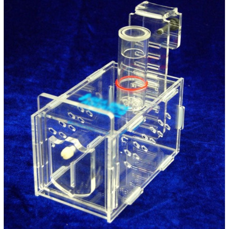 Fish Trap - Small