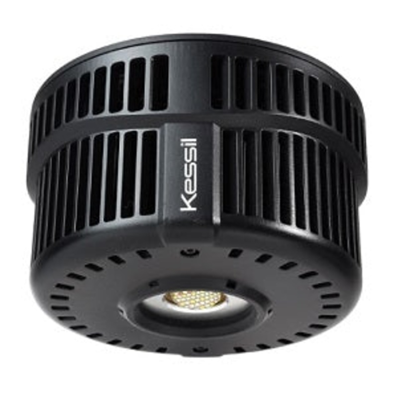 Kessil A500X Tuna Blue