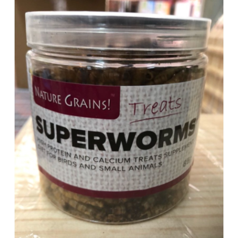 NATURE GRINS Dried Superworm