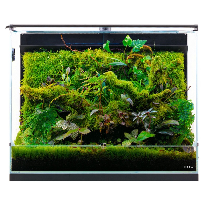 DOOA System Paluda (C plug w/out USB Power Adaptor)