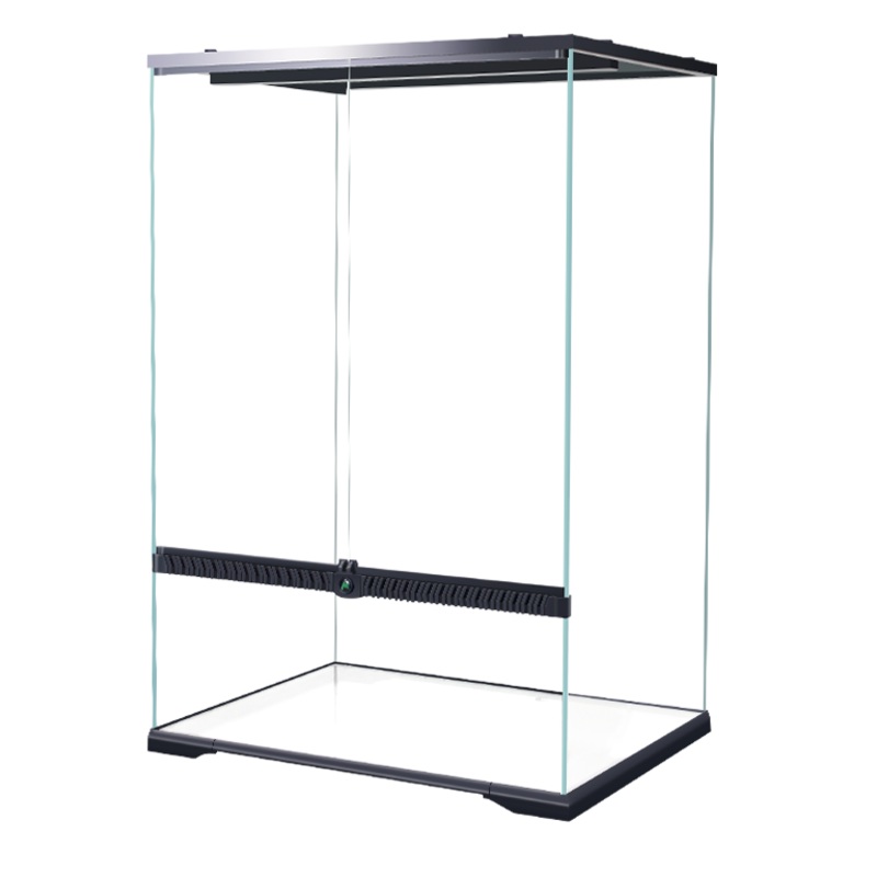 MIUS Rainforest Box (Crystal Glass)