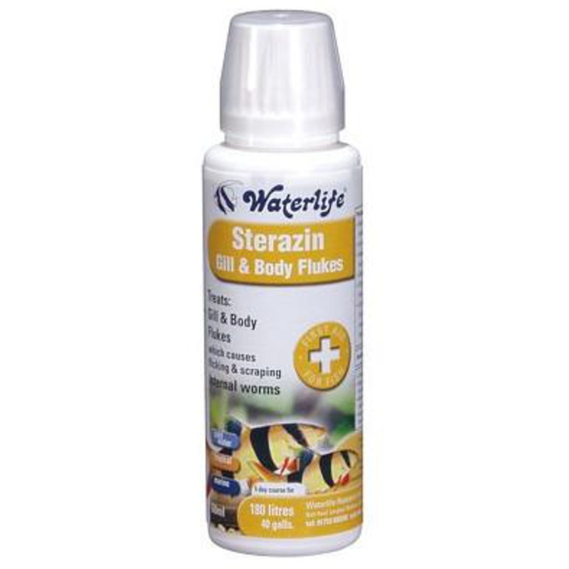 WATERLIFE Stern (100ml)