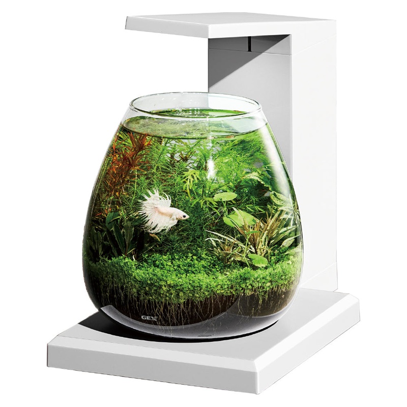 GEX Glass Aqua PERCO