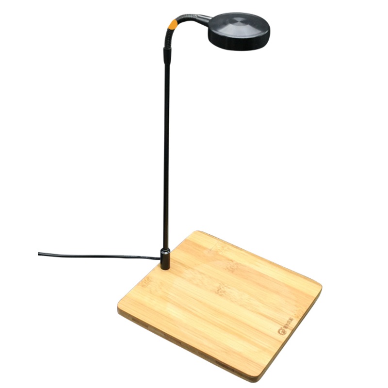 BISHUIFENGHE Wabi Kusa Lamp