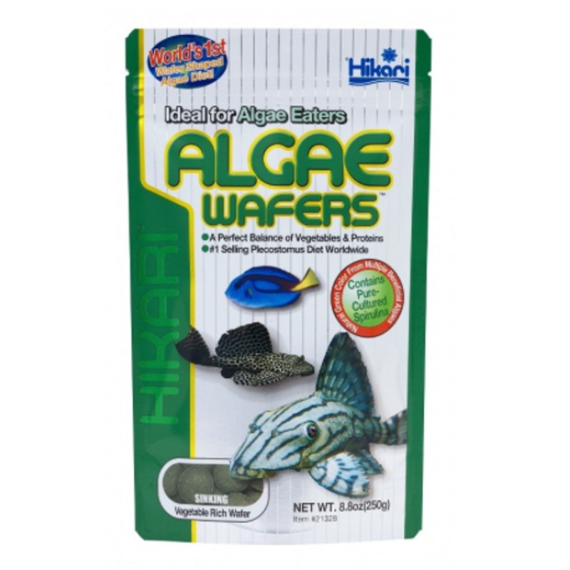 HIKARI Algae Wafers (40g)