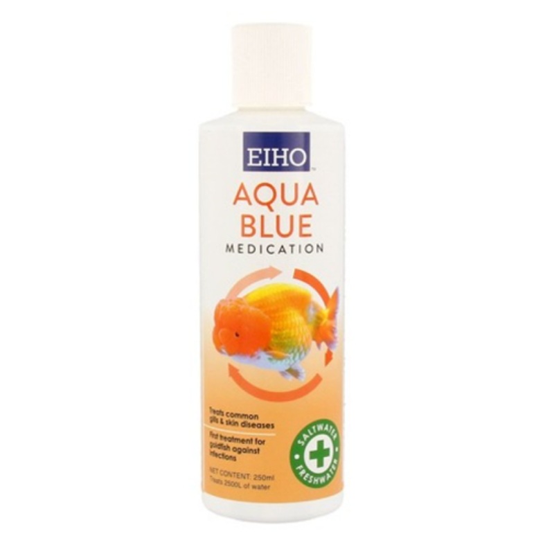 EIHO Aqua Blue (120ml)