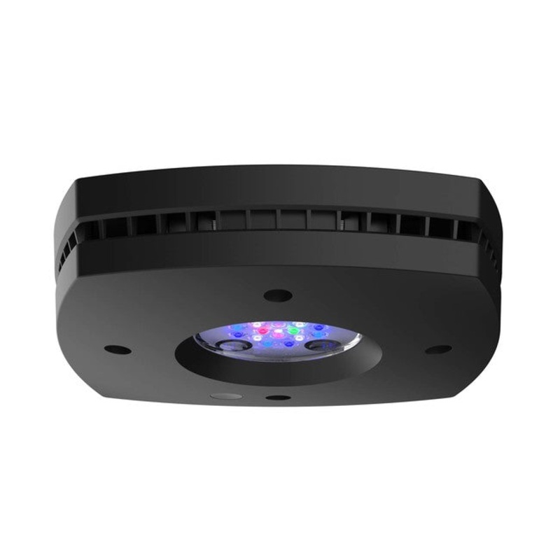 AI Prime 16 HD Black