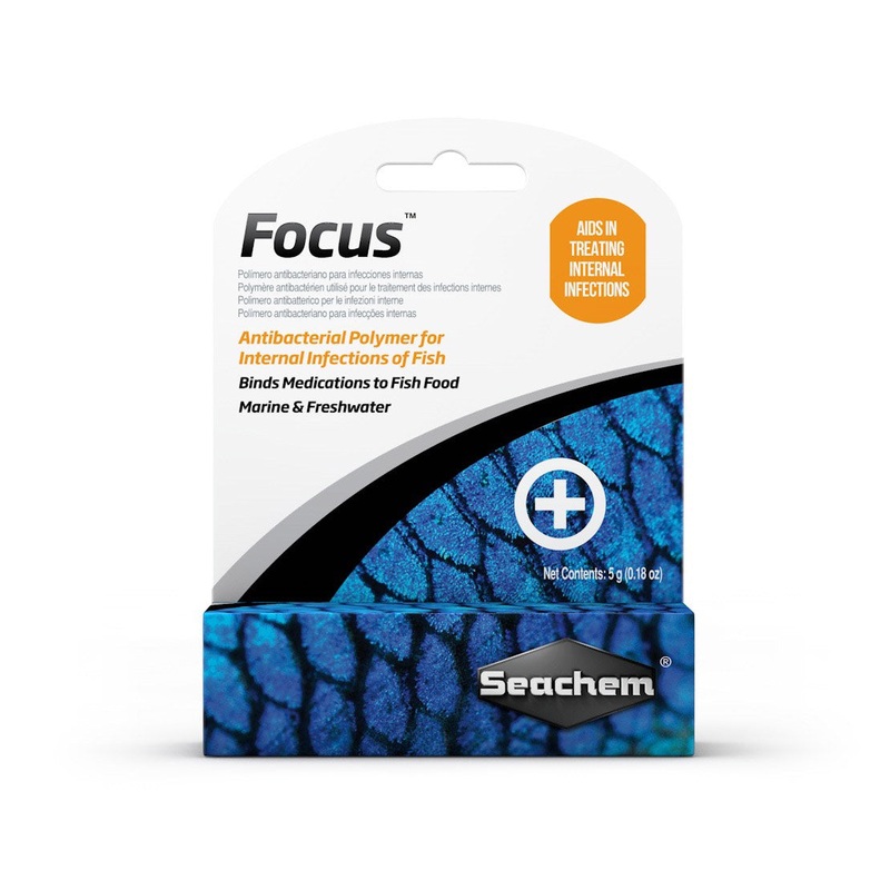Focus 5g
