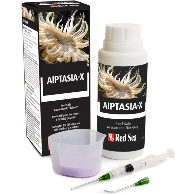 Aiptasia X